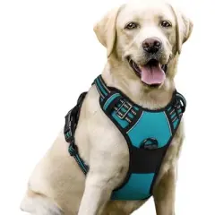 rabbitgoo Dog Harness No Pull with 2 Leash Clips, Control Handle for Large Dogs, Teal, L