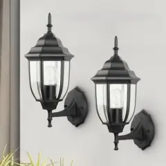 C Cattleya 1-Light Die-Cast Aluminum Outdoor Wall Sconce with Black Finish, 2 Pack