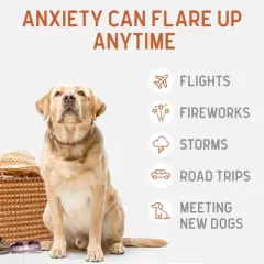 Chew + Heal Calming Anxiety + Stress Treats, Dog Supplement, Contains 4 Travel-Sized Jars  - 120 Total Delicious Chews