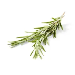 Organic Rosemary - 0.5oz - Good & Gather&trade;