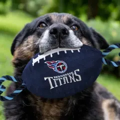 NFL Tennessee Titans Nylon Football