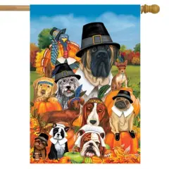 Give Thanks Dogs Thanksgiving House Flag Holiday Humor 28" x 40" Briarwood Lane