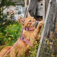Unique Bargains Escape Proof Lightweight Cat Harness and Leash Set for Large and Small Cat Travel Walking Rose Red