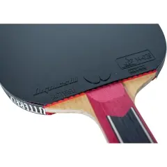 Butterfly Mizutani Jun ZLC Pro-Line Racket  + Dignics 80 + Dignics 80