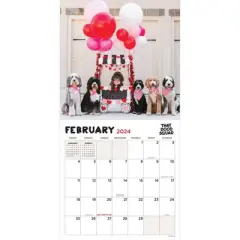 TF Publishing 2024 Wall Calendar 12"x12" That Dood Squad