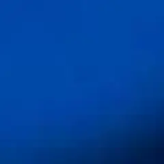 Platinum Pets Coated Steel Food Scoop  -  Blue (1 Cup)