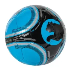 ProCat Size 1 Mini Ball
