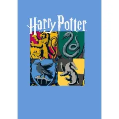 Boy's Harry Potter Hogwarts Houses Vintage Collage Performance Tee