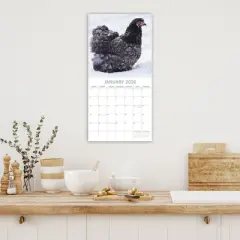 2026 Square Wall Calendar, Chihuahuas, 16-Month Paw Prints Theme with 180 Reminder Stickers (12x12 In)