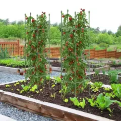 Tangkula 3-Pack Garden Tomato Trellis 60" Plant Support Cage w/ Adjustable Size for Plants