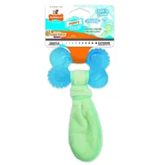 Nylabone Puppy Chew Peanut Butter Chill N Chew Bone - Regular