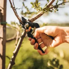 Fiskars P131 Bypass Pruner