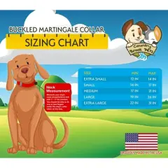 Country Brook Petz 1 1/2 Inch Rainbow Hearts Martingale w/Deluxe Buckle Dog Collar