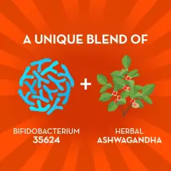 Align De-Stress Daily Probiotic Supplement - Capsules - 21ct