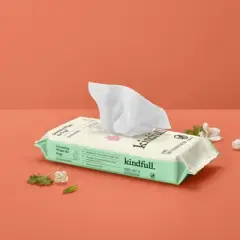 Botanical Mint Dog Grooming Wipes - 60ct - Kindfull&trade;