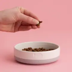 Mason Cash: Speckle Dip Cat Bowl, 5.1", 9.3oz, Lilac, Cream, Food & Water Dish