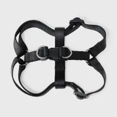 Basic Walk Dog Walk Collar Harness Leash Set - Boots & Barkley&trade; 3pc