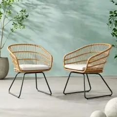 Christopher Knight Home Lemere Outdoor Wicker and Metal Upholstered Dining Chairs (Set of 2)