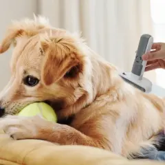 Unique Bargains 3 in 1 Cat Brush for Shedding Gray White 1 Pc