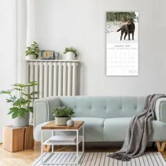 2026 Square Wall Calendar, Labradors, 16-Month Animals Theme with 180 Reminder Stickers (12x12 In)