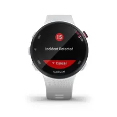 Garmin Forerunner 45 GPS Running Watch