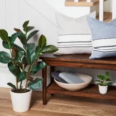 8" Mini Faux Hoya Heart Plant - Hearth & Hand&trade; with Magnolia