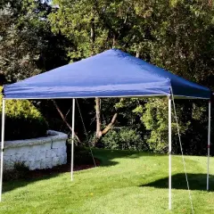 Sunnydaze Standard Pop-Up Canopy Shade