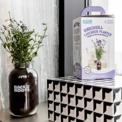 Back to the Roots Organic Lavender Grow Kit