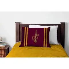 NBA Pegasus Sports Bed Pillow