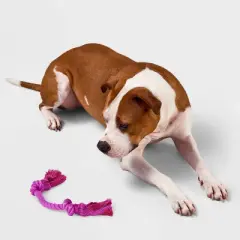 10" Mini Rope Dog Toy - Boots & Barkley&trade; Purple