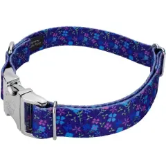 Country Brook Petz Premium Blueberry Fields Dog Collar