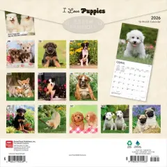 BrownTrout I Love Puppies 2026 12"x24" Hanging Square Wall Calendar Plastic-Free