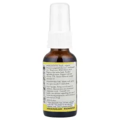 Eclectic Herb Kids Throat Spray, Echinacea Goldenseal, 1 fl oz (30 ml)