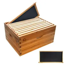 10 Frame Bee Hive Box, Wax Coated Honey Super Bee Hive Kit with Frames and Foundations Sheets for Beginners Beekeepers, Deep Box