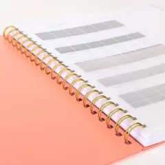 Cambridge 2024 Planner 11.125"x9.375" Weekly/Monthly Apricot Orange