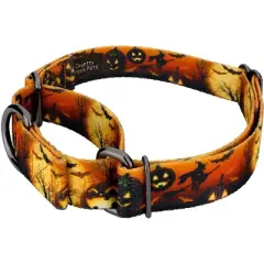Country Brook Petz Midnight Fright Gunmetal Martingale Dog Collar (1 Inch, Large)