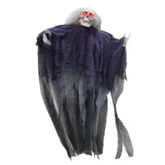 Sunstar Long Hair Reaper Hanging Halloween Decoration - 29 in - Black
