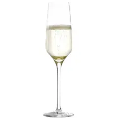 6.8oz 4pk Crystal Experience Champagne Glasses - Stolzle Lausitz