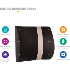 HealthSmart Lumbar Support Pillow, Back Pillow, Office Chair Pillow with Insert and Strap, Black with Tan Stripe, 14 x 13 Inches