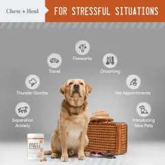 Chew + Heal Calming Anxiety Treats, Dog Supplement, Stress Relief For Travel, Storms & Fireworks - 60 Delicious Chews