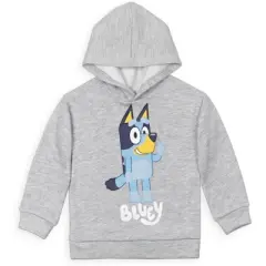 Bluey Fleece Pullover Hoodie and Pants Outfit Set Toddler to Little Kid