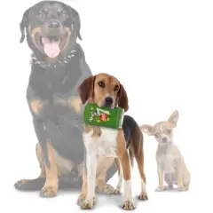 Silly Squeakers Soda Can Lucky Pup Dog Toy