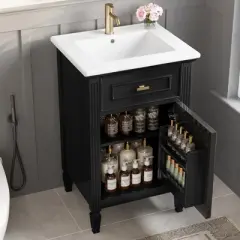 Whisen 20" Bathroom Vanity with Sink & Adjustable Shelf