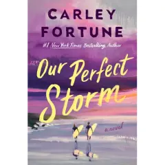 Our Perfect Storm - by Carley Fortune (Hardcover)