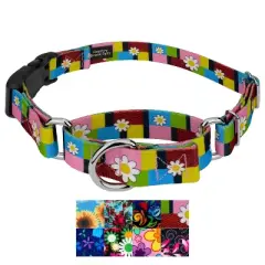 Country Brook Petz Martingale Dog Collar with Deluxe Buckle - Floral Collection