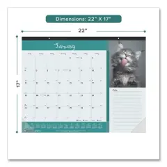 Pets Collection Monthly Desk Pad, Furry Kittens Photography, 22 x 17, White Sheets, Black Binding, 12-Month (Jan-Dec): 2026