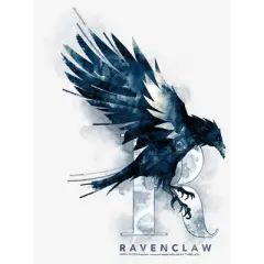 Women's Harry Potter Ravenclaw Bird Watercolor T-Shirt