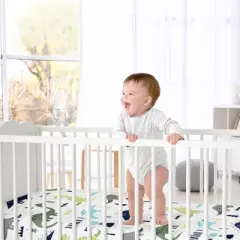 Sweet Jojo Designs Fitted Crib Sheet - Blue & Green Mod Dino