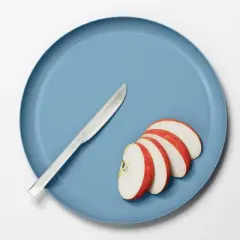 10.5" Plastic Round Dinner Plate - Made By Design&trade;