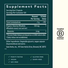 Gaia Herbs Rhodiola Rosea - Stress Support Supplement Traditionally for Supporting Healthy Stamina and Endurance - 120 Vegan Liquid Phyto-Capsules
